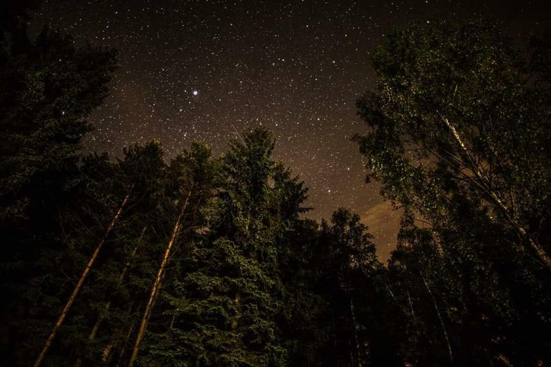 Lesní chaty Hogo Fogo Kytlice Exterior foto